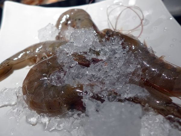 P1000540.JPG P1000540.JPG