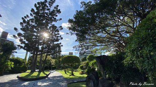 0823 雙溪公園10.jpg