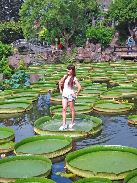 【台北旅遊】雙溪公園-2017大王蓮奇幻漂浮