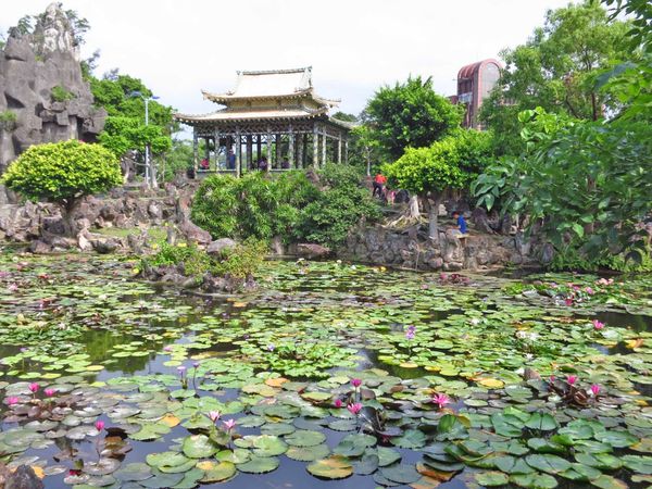 【台北旅遊】雙溪公園-2017大王蓮奇幻漂浮