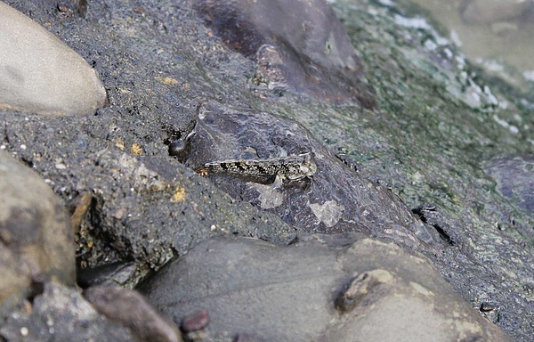 IMG_1756.jpg IMG_1756.jpg