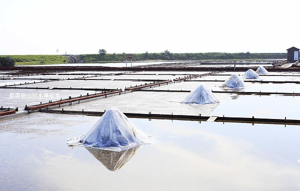 _MG_1829.jpg _MG_1829.jpg