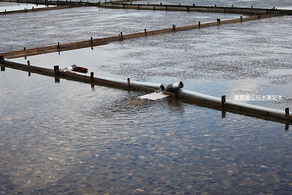 IMG_1704.jpg IMG_1704.jpg