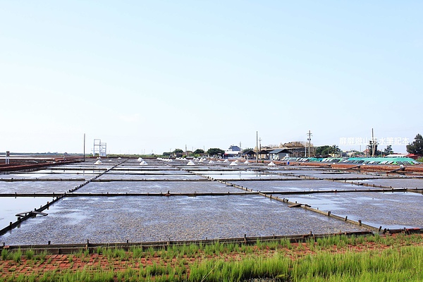 _MG_1790.jpg _MG_1790.jpg