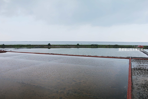 IMG_1631.jpg IMG_1631.jpg