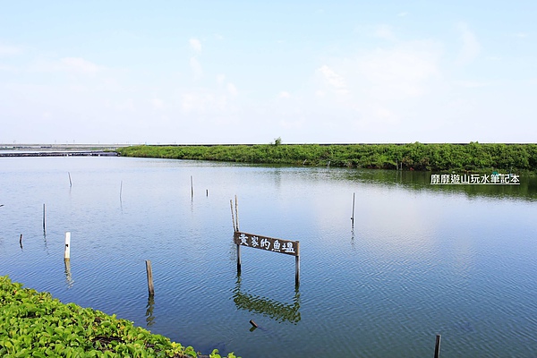 _MG_1800.jpg _MG_1800.jpg