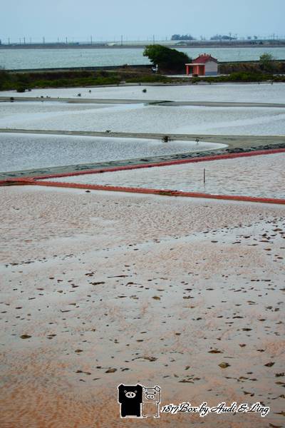 【台南。北門】夕遊井仔腳瓦盤鹽田。現存最古老的瓦盤鹽田遺址