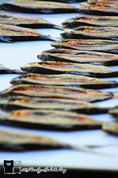 【台南。北門】夕遊井仔腳瓦盤鹽田。現存最古老的瓦盤鹽田遺址