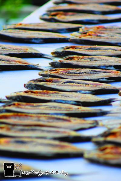 【台南。北門】夕遊井仔腳瓦盤鹽田。現存最古老的瓦盤鹽田遺址