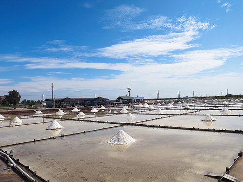 井仔腳瓦盤鹽田23