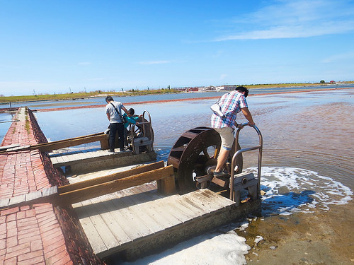 井仔腳瓦盤鹽田15