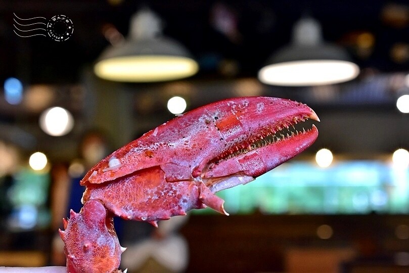 台北市大安區台北：台大【Just Italian義饗食堂】晶華五星飯店義式料理，沙拉、飲料、湯品吃到飽！(捷運公館站美食)