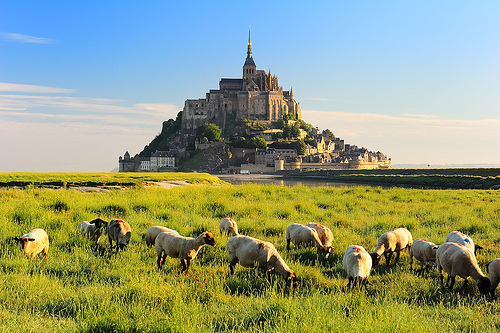 普拉嬤嬤 LA MÉRE POULARD CAFÉ:【捷運忠孝敦化】傳承百年的法國料理 — 普拉嬤嬤 LA MÉRE POULARD CAFÉ 普拉嬤嬤 LA MÉRE POULARD CAFÉ:【捷運忠孝敦化】傳承百年的法國料理 — 普拉嬤嬤 LA MÉRE POULARD CAFÉ