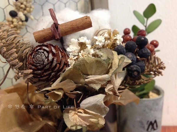 IMG_3002.JPG IMG_3002.JPG