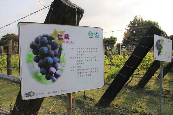 台灣酒窖聯合遊客服務中心： 【彰化景點】台灣酒窖聯合遊客服務中心，免費參觀，2017在幸福園地感受浪漫的氣息，I ❤ U薰衣草花田環繞，結合休閒、童玩、農特產美食、二林斗苑休閒農業園區