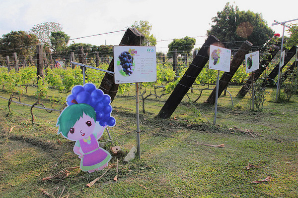 台灣酒窖聯合遊客服務中心： 【彰化景點】台灣酒窖聯合遊客服務中心，免費參觀，2017在幸福園地感受浪漫的氣息，I ❤ U薰衣草花田環繞，結合休閒、童玩、農特產美食、二林斗苑休閒農業園區