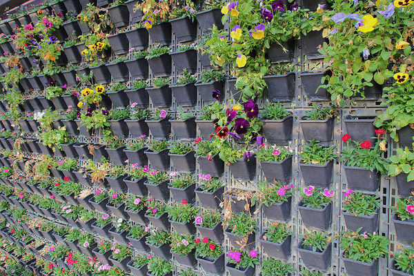 台灣酒窖聯合遊客服務中心： 【彰化景點】台灣酒窖聯合遊客服務中心，免費參觀，2017在幸福園地感受浪漫的氣息，I ❤ U薰衣草花田環繞，結合休閒、童玩、農特產美食、二林斗苑休閒農業園區