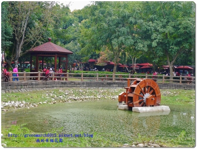 P9110857 (620x465).jpg P9110857 (620x465).jpg