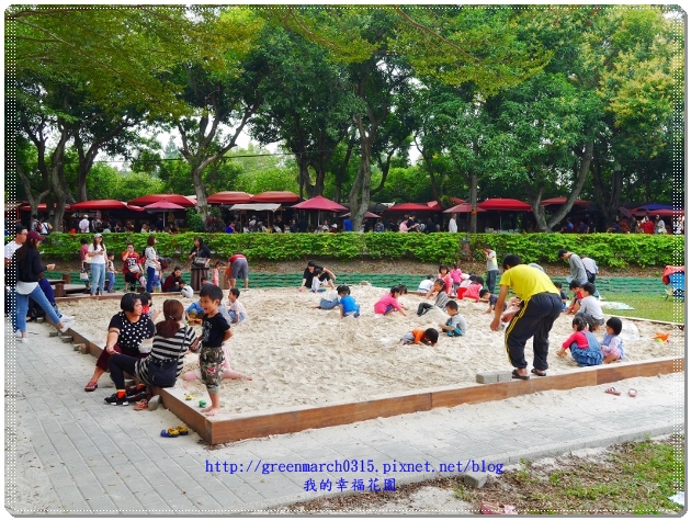 P9110859 (620x465).jpg P9110859 (620x465).jpg