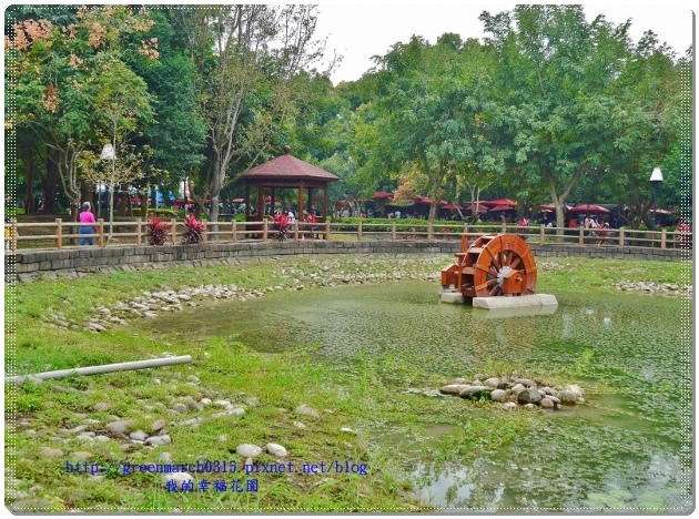 P9110856 (620x458).jpg P9110856 (620x458).jpg