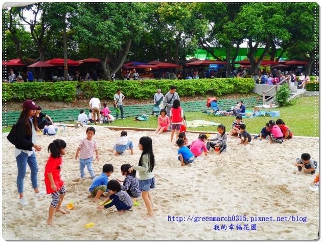 P9110858 (620x465).jpg P9110858 (620x465).jpg