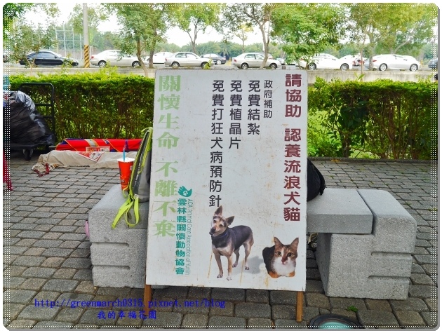 P9110898 (620x465).jpg P9110898 (620x465).jpg