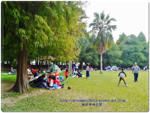 P9110844 (620x465).jpg P9110844 (620x465).jpg