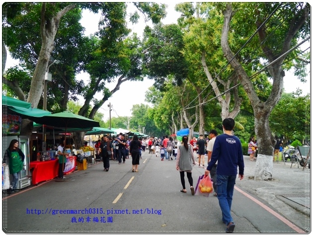 P9110871 (620x465).jpg P9110871 (620x465).jpg