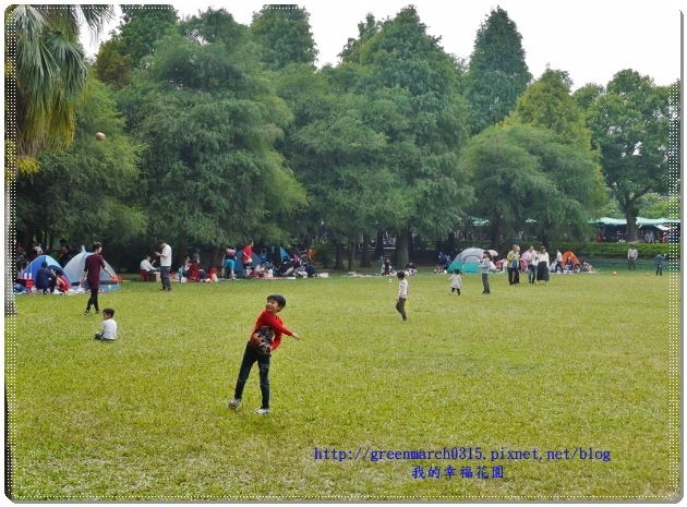 P9110867 (620x455).jpg P9110867 (620x455).jpg