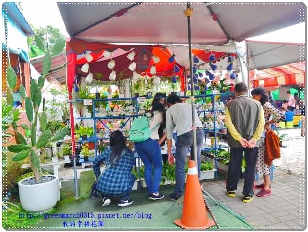 P9110888 (620x465).jpg P9110888 (620x465).jpg