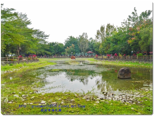 P9110864 (620x465).jpg P9110864 (620x465).jpg