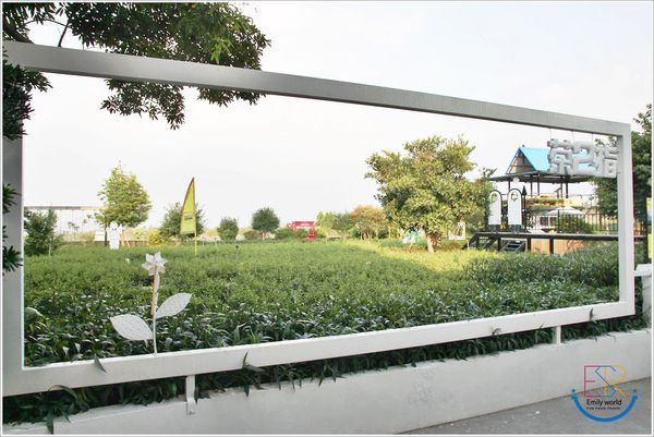 茶二指故事館 (42) 茶二指故事館 (42)