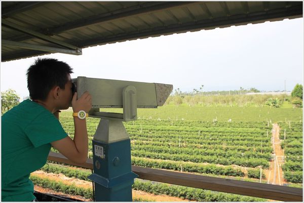 茶二指故事館 (33) 茶二指故事館 (33)