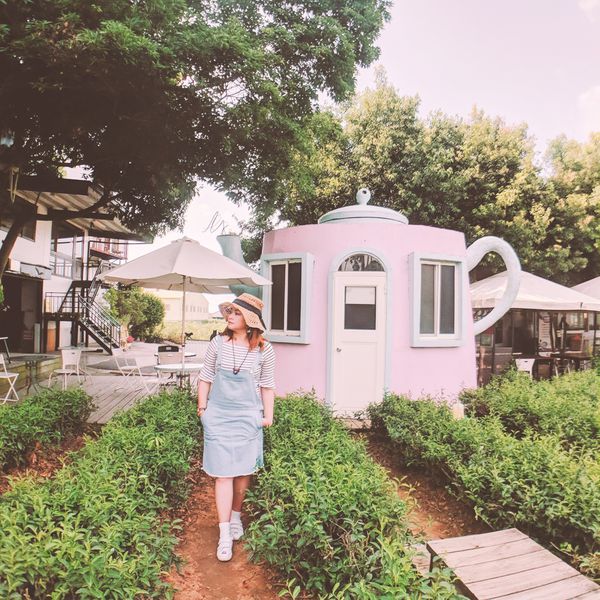 茶二指故事館 (64) 茶二指故事館 (64)