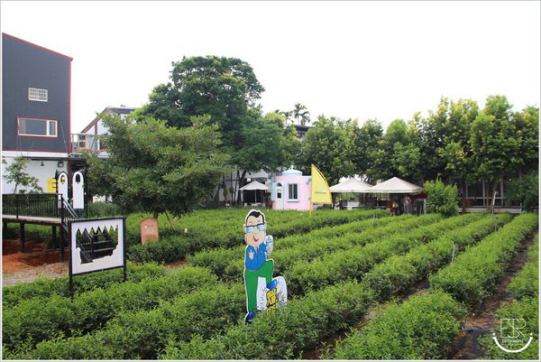 茶二指故事館 (28) 茶二指故事館 (28)