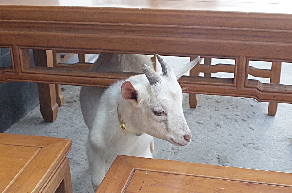 R0307980.JPG R0307980.JPG