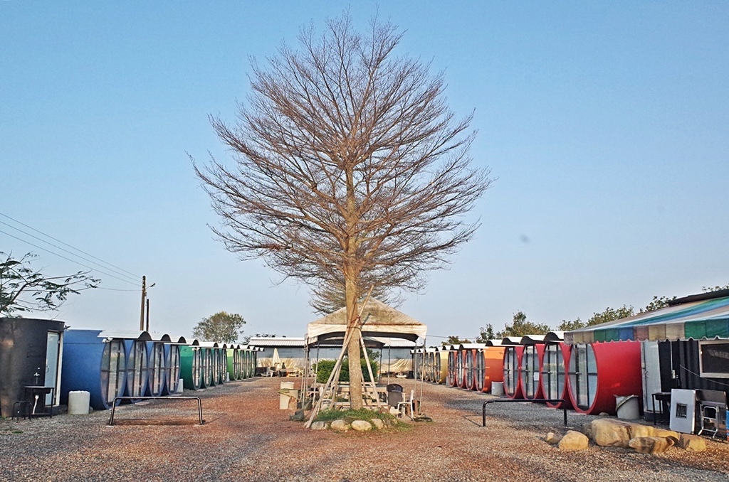 R0308095.JPG R0308095.JPG