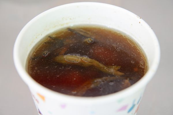 DSC_3677.jpg DSC_3677.jpg