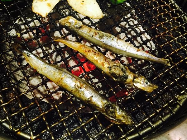 IMG_20160812_235832_641