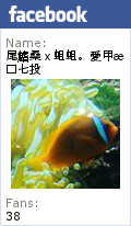 葉家小卷米粉：［台南中西］葉家小卷米粉