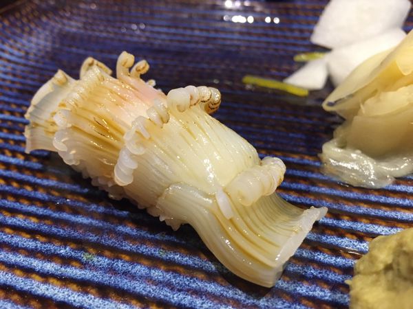 坐著做すし - 16