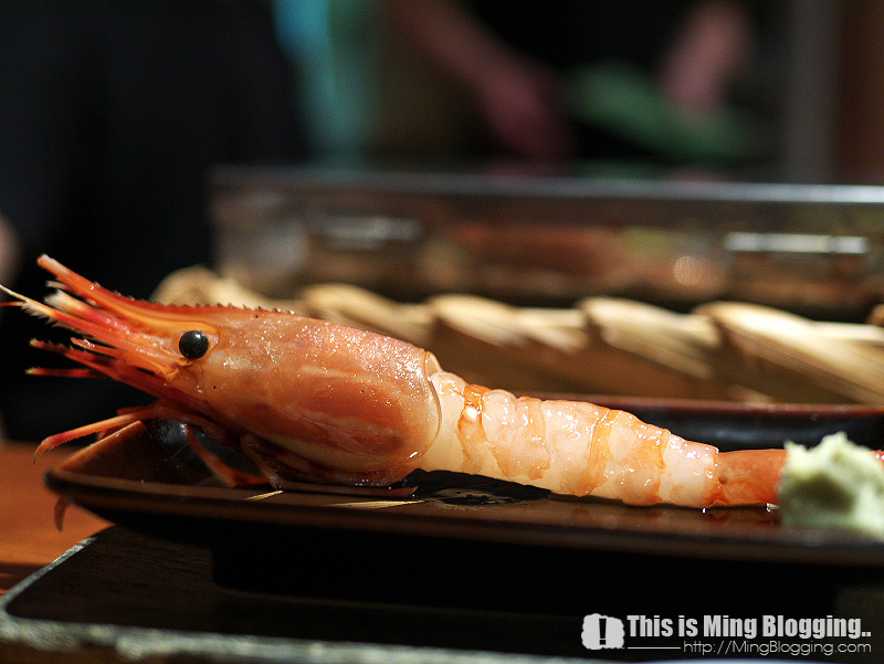 P1060835.jpg P1060835.jpg