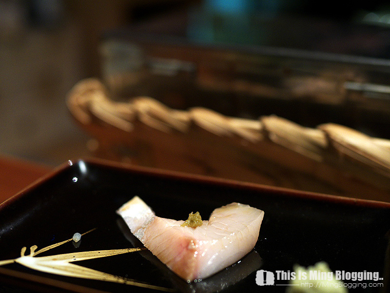 P1060864.jpg P1060864.jpg