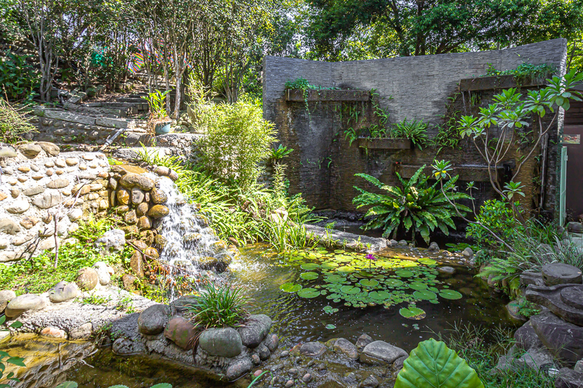 苗栗頭份,五星級製茶園-怡明茶園,來到這兒不僅品茶吃茶還賞茶~一舉數得很滿足。 - 微笑Joe幸運