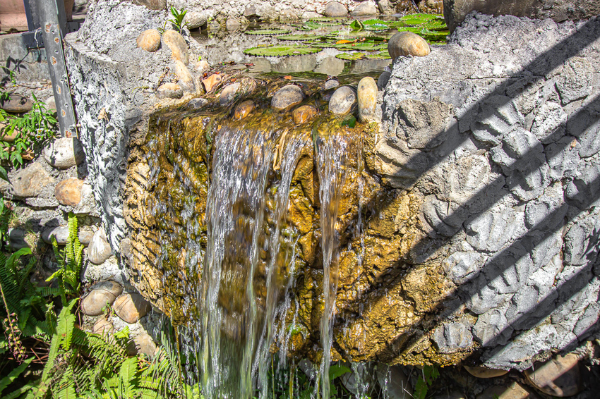 苗栗頭份,五星級製茶園-怡明茶園,來到這兒不僅品茶吃茶還賞茶~一舉數得很滿足。 - 微笑Joe幸運