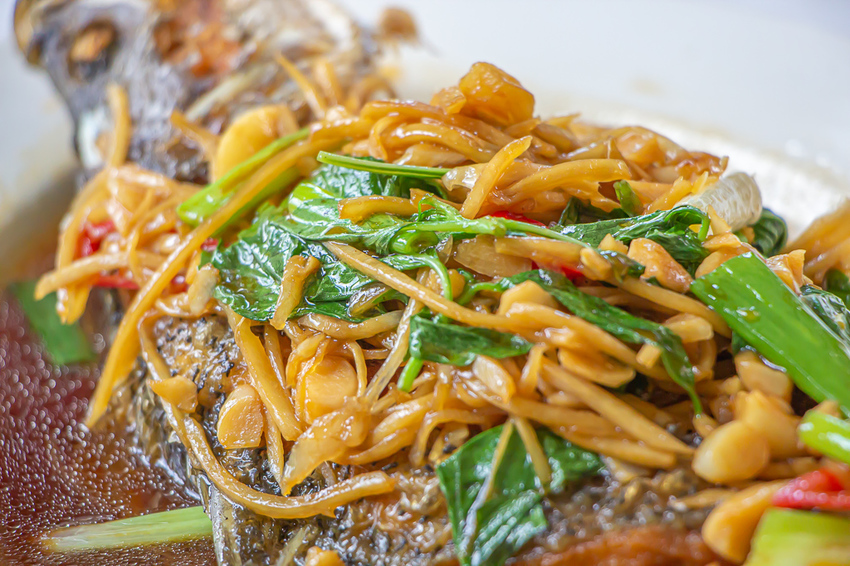 苗栗頭份,五星級製茶園-怡明茶園,來到這兒不僅品茶吃茶還賞茶~一舉數得很滿足。 - 微笑Joe幸運