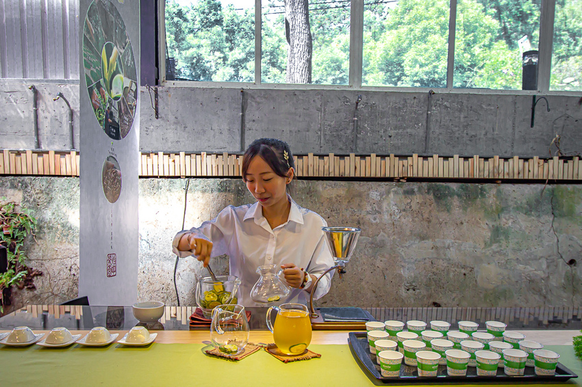 苗栗頭份,五星級製茶園-怡明茶園,來到這兒不僅品茶吃茶還賞茶~一舉數得很滿足。 - 微笑Joe幸運
