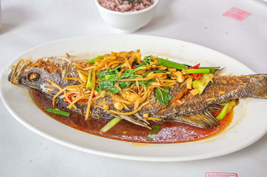 苗栗頭份,五星級製茶園-怡明茶園,來到這兒不僅品茶吃茶還賞茶~一舉數得很滿足。 - 微笑Joe幸運