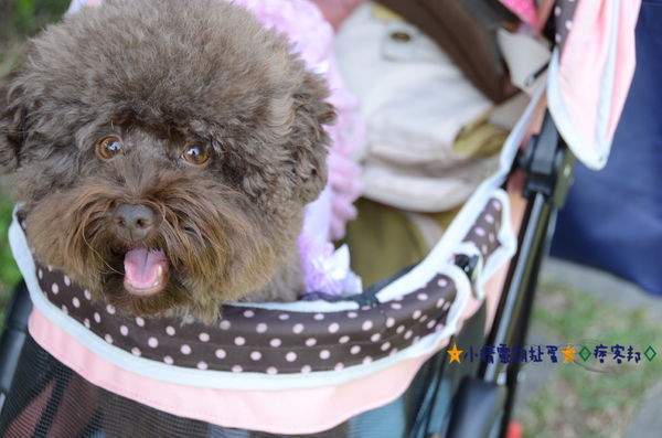 1老街溪 24.JPG 1老街溪 24.JPG