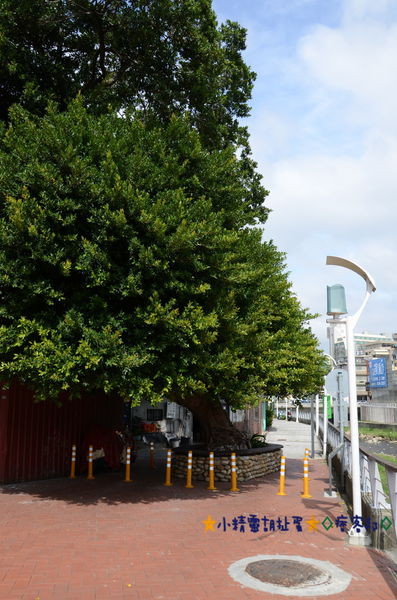 1老街溪 8.JPG 1老街溪 8.JPG